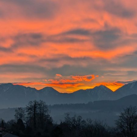 Am Eichholz Galerie & Art-Hotel Murnau am Staffelsee Kültér fotó